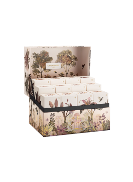 CALENDRIER DE L'AVENT DES PHARMACOPEES