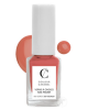 Vernis